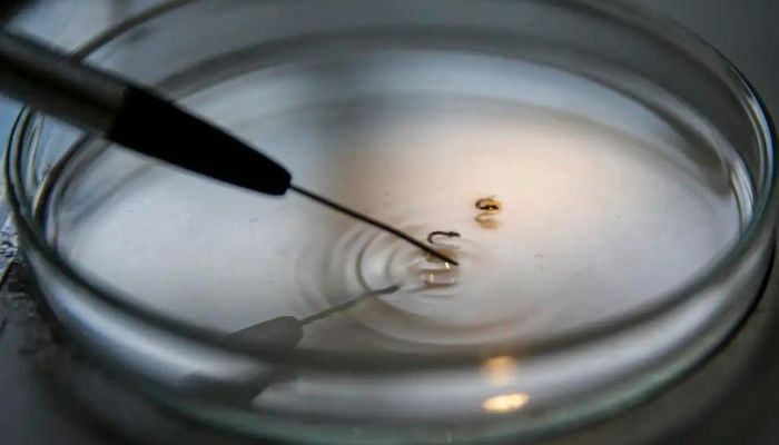 Brasil supera 1 mil mortes por dengue este ano 